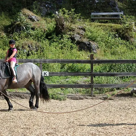 酒店 Postgut - Tradition Seit 1549 特温