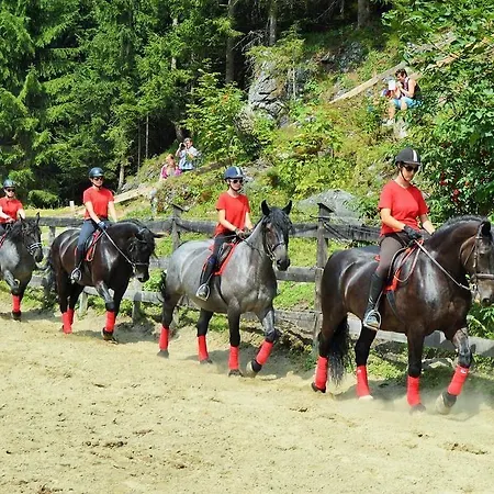 Postgut - Tradition Seit 1549 酒店 特温